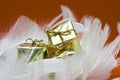 Gift boxes on white feather Royalty Free Stock Photo