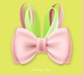 Gift bunny silk pink green bow
