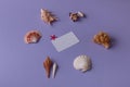 Gift card with beautiful seashells Royalty Free Stock Photo