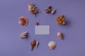 Gift card in center and seashells Royalty Free Stock Photo