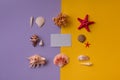 Gift card decorated with seashells around Royalty Free Stock Photo