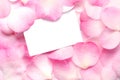 Gift Card on Pink Petals Royalty Free Stock Photo