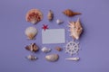 Gift card and seashells in beautiful composition Royalty Free Stock Photo