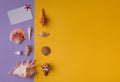 Gift card and seashells with copy space Royalty Free Stock Photo