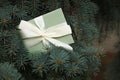 Gift certificate placed on fir tree branches Royalty Free Stock Photo