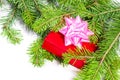 Gift and christmas tree
