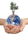Gift of Earth. Royalty Free Stock Photo