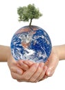 Gift of Earth. Royalty Free Stock Photo