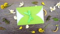 Gift envelope with green ribbon on floral wooden background. Congratulation with flowers. Flat lay