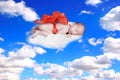 Gift from God Fantasy Portrait Infant With Bow in the Clouds