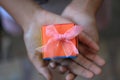 A gift in hand. A small cute gift box in young woman hands with a pink ribbon decoration on it.