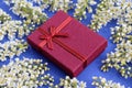 A burgundy gift box lies on a blue background surrounded by bird cherry flowers. Royalty Free Stock Photo