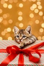 A gift for a holiday is a pet. A kitten with a sad look is sitting in a gift box with a red ribbon. Royalty Free Stock Photo