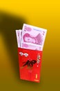 Gift Money for Chinese New Year