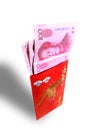 Gift Money for Chinese New Year