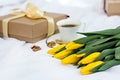 Gift, notebook, yellow tulips Royalty Free Stock Photo