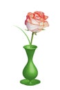 A gift of one red-and-white rose on a stem in a green vase. Full bloom two-color beautiful rose in a 3D vase. Objects white