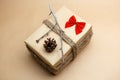 Gift packed at eco style with red bubbles, pinecones and bow