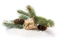 Gift, pine branches and cones