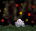 Gift of pink color with a bow on fir branches against a background of yellow and red bokeh lights on a black background Royalty Free Stock Photo