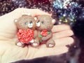 Gift teddy bears fiancee bride in hand valentine`s day love
