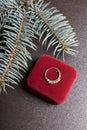 A gift to a loved one. Closed velvet box of red color with gold earrings. Nearby is a golden ring. On a dark background with a spr