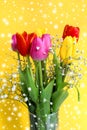 Bouquet of different colorful tulips on a yellow background Royalty Free Stock Photo