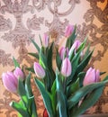 A gift for a woman. Tulips. Beautiful flowers.