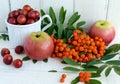 Gifts of autumn: apples, cherry plum, mountain ash on a white background. Still life in yellow, orange, red Royalty Free Stock Photo