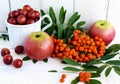 Gifts of autumn: apples, cherry plum, mountain ash on a white background. Royalty Free Stock Photo