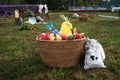 Gifts of autumn on green grass in the wicker basket Royalty Free Stock Photo