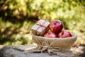 Gifts of autumn. Harvest of apples. Red apples in a basket.