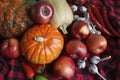 Gifts of autumn. Lots of vegetables and fruits on a red checkered blanket. Pumpkins, apples, garlic, hot peppers -