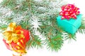 Gifts on fur-tree branches Royalty Free Stock Photo