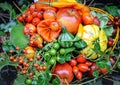 Gifts of nature, autumn still life, autumn fruits, vegetables and berries Royalty Free Stock Photo