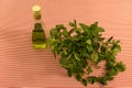 Mint in a crystal vase and a bottle of oil on a colored, red, background. Royalty Free Stock Photo