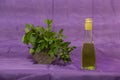 Mint in a crystal vase and a bottle of oil on a colored, red, background. Royalty Free Stock Photo