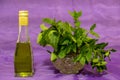 Mint in a crystal vase and a bottle of oil on a colored, red, background. Royalty Free Stock Photo