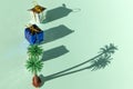 Gifts with palm tree, shadows and copyspace. Royalty Free Stock Photo