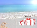 Gifts of tropical beach. Royalty Free Stock Photo