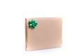 Giftwrapped present with a decorative green bow Royalty Free Stock Photo