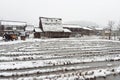 Tourist walking on the street with background of Ancient houses and snow-covered rice fields of Shirakawa-go village at Gifu, Japa Royalty Free Stock Photo