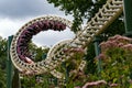 Gigabtic roller coaster at Efteling theme park Royalty Free Stock Photo