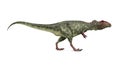 Giganotosaurus Royalty Free Stock Photo