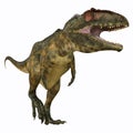 Giganotosaurus Carnivore Royalty Free Stock Photo