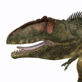 Giganotosaurus Head Royalty Free Stock Photo