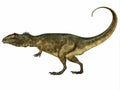Giganotosaurus Side Profile Royalty Free Stock Photo