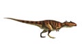 Giganotosaurus on White Background