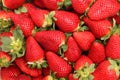 Gigant strawberries Royalty Free Stock Photo