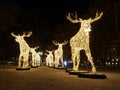 Gigantic elk or moose christmas decoration made of led light Royalty Free Stock Photo